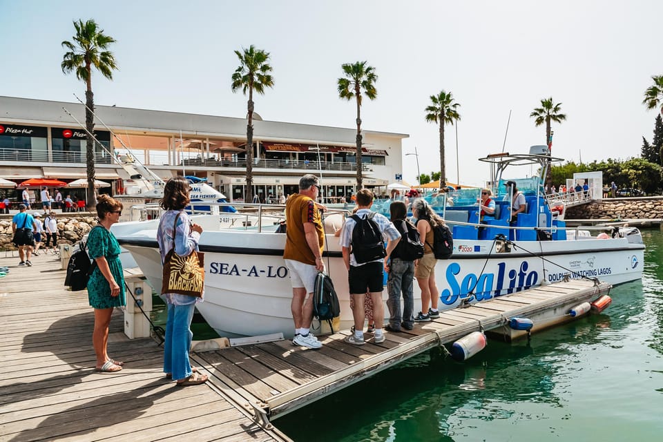 Lagos: Dolphin Watch Tour with Professional Marine Biologist - Should You Book This Dolphin Watch Tour in Lagos?