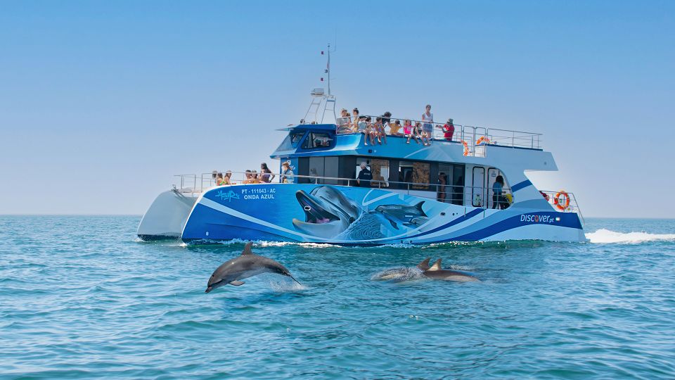 Lagos: Dolphins & Caves - Catamaran - Key moments you’ll remember