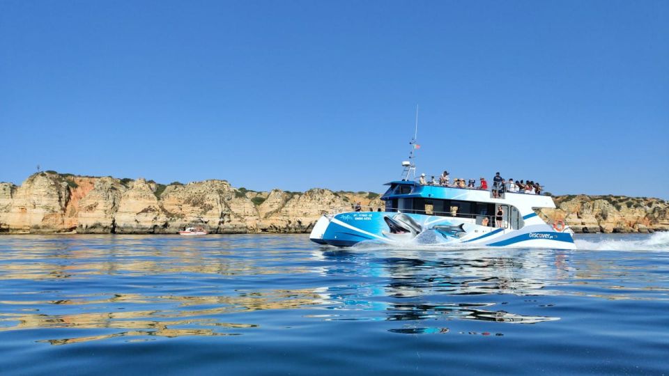 Lagos: Dolphins & Caves - Catamaran - From Marina de Lagos to dolphin country on a smooth catamaran