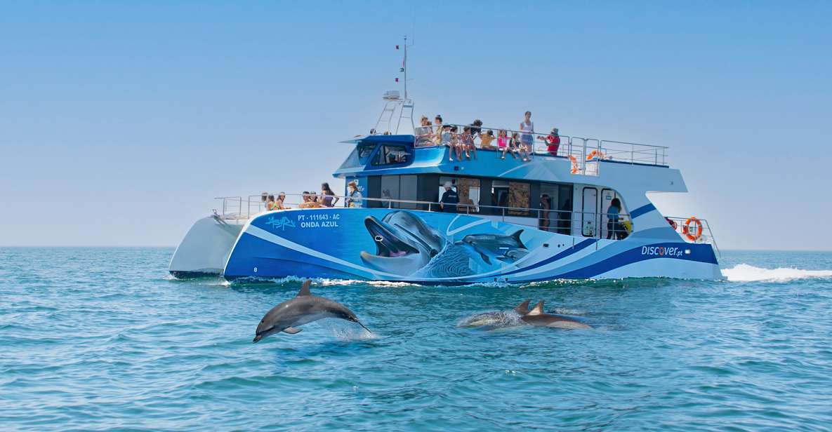 Lagos: Dolphins & Caves - Catamaran - The dolphin hunt: what the marine biologist tells you while you search