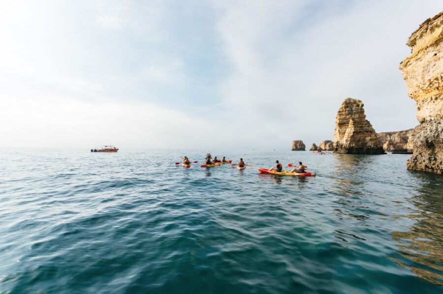 Lagos: Kayak Experience - Effort Level and Who This Tour Fits Best