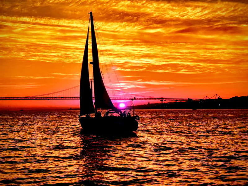 Lisbon: Daytime or Sunset Boat Cruise with History and Wine - Chiado, Time Out Market, and Free Moments on Deck