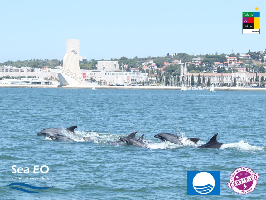 Lisbon: Dolphin Watching with Marine Biologist - Who should book this dolphin watching trip in Lisbon
