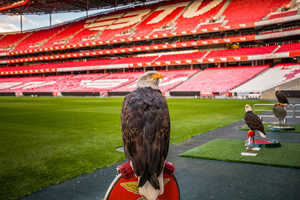 Lisbon: Luz Stadium Tour & SL Benfica Museum Entry - The Benfica Museum – Cosme Damião: 29 themed areas across 3 floors