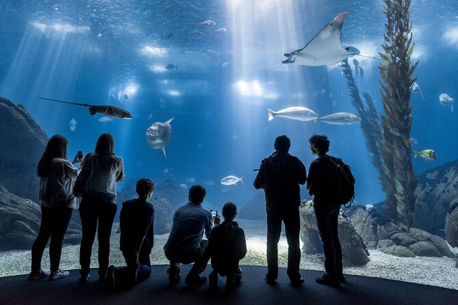 Lisbon Oceanario: Aquarium Entrance Ticket - Key Things I’d Pin to Your Plan