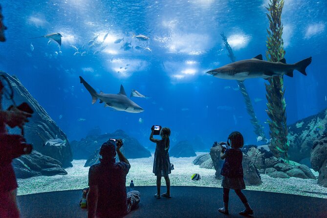Lisbon Oceanario: Aquarium Entrance Ticket - Parque das Nações Waterfront: The Easy Part of Getting There