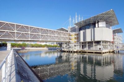 Lisbon Oceanario: Aquarium Entrance Ticket - The 2–3 Hour Route: How the Visit Flows