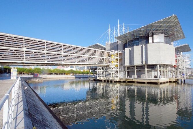 Lisbon Oceanario: Aquarium Entrance Ticket - The 2–3 Hour Route: How the Visit Flows