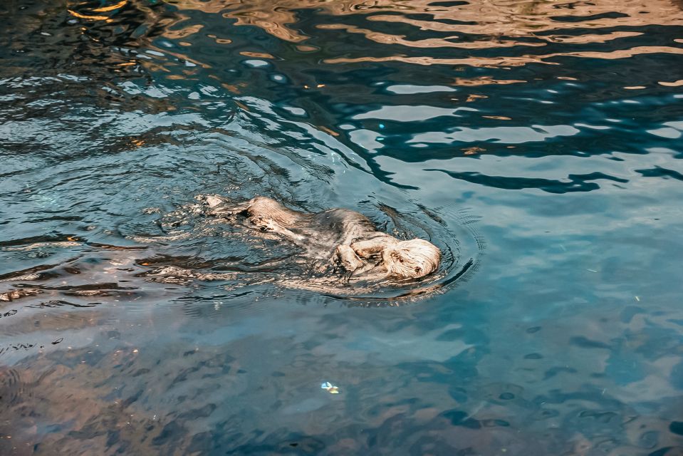 Lisbon: Oceanário de Lisboa Entrance Ticket - Key reasons this Lisbon Oceanarium visit works