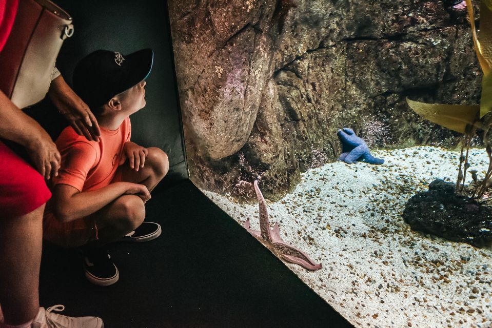 Lisbon: Oceanário de Lisboa Entrance Ticket - Your walk-through plan: how to see more than just the main tank