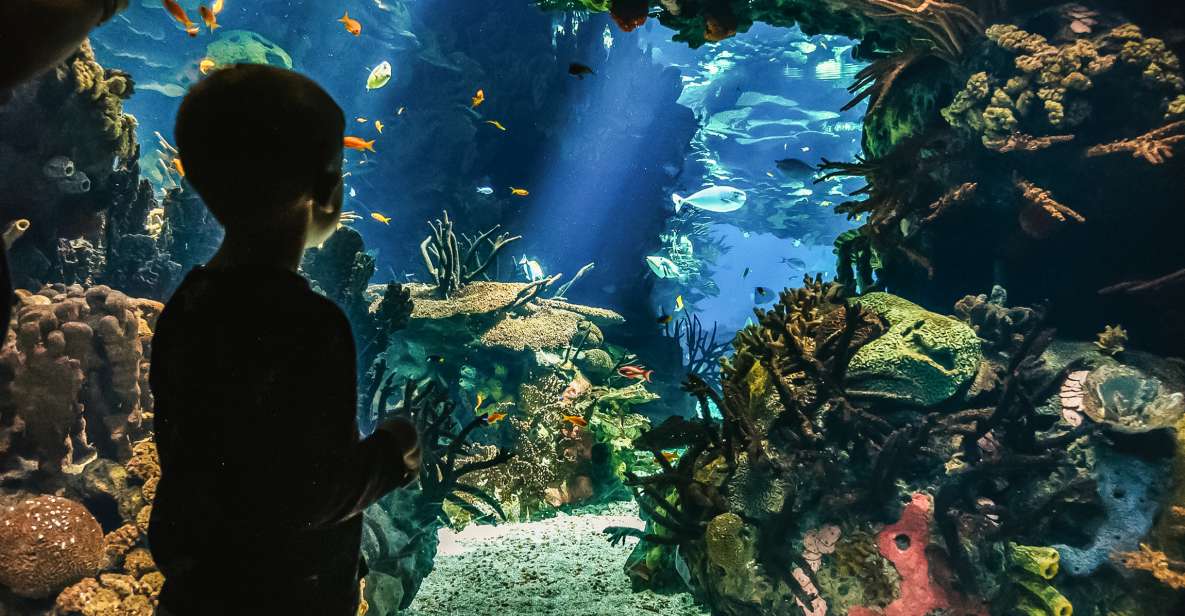 Lisbon: Oceanário de Lisboa Entrance Ticket - When crowds hit: where timing helps most