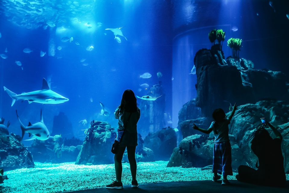 Lisbon: Oceanário de Lisboa Entrance Ticket - What your $29 Oceanário de Lisboa entrance ticket really buys