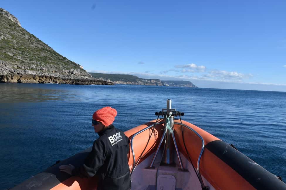 Lisbon: Sesimbra Kayak Discovery Experience - Luiz de Saldanha Maritime Reserve: A Protected Coast With a Different Feel