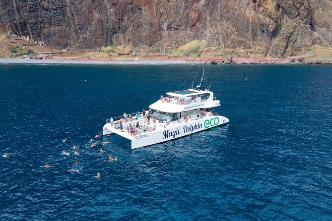 Madeira Dolphin and Whale Watching on a Ecological Catamaran - Why the eco-catamaran setup matters more than you think