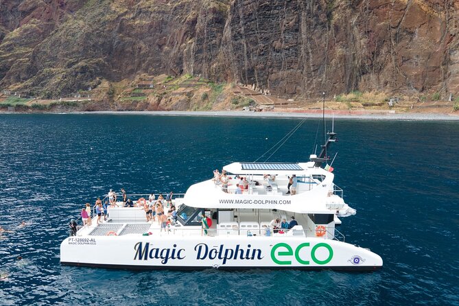 Madeira Dolphin and Whale Watching on a Ecological Catamaran - Price and what $42.33 really buys you in Madeira