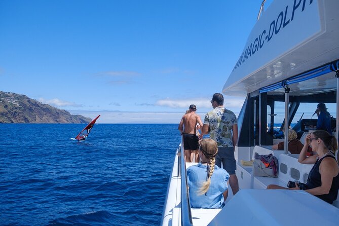 Madeira Dolphin and Whale Watching on a Ecological Catamaran - Marine life chances: dolphins, pilot whales, and other possible surprises