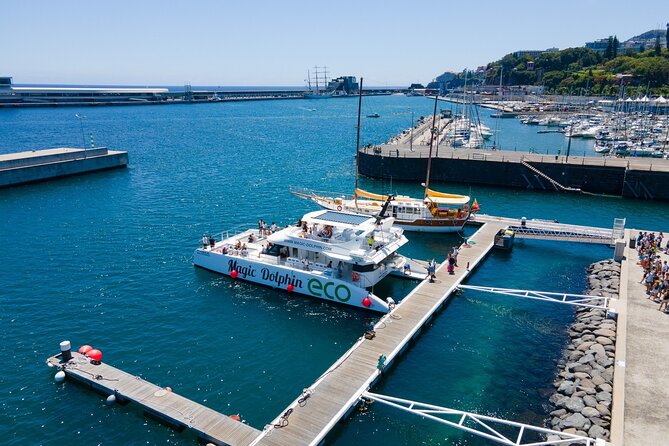 Madeira Dolphin and Whale Watching on a Ecological Catamaran - Weather, sea spray, and what to bring so the ride stays fun