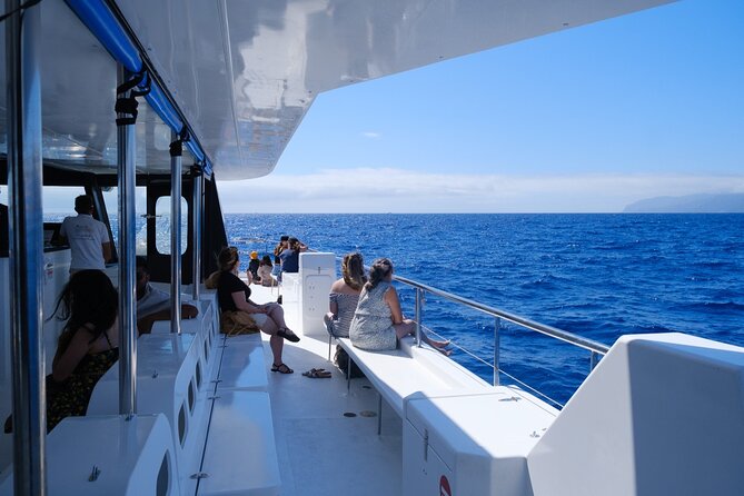 Madeira Dolphin and Whale Watching on a Ecological Catamaran - Who this trip suits best (and who should be picky)