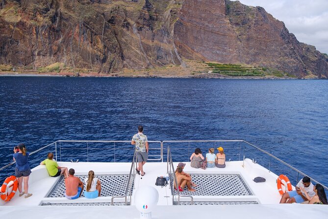 Madeira Dolphin and Whale Watching on a Ecological Catamaran - Meeting in Funchal: where to start and what to expect