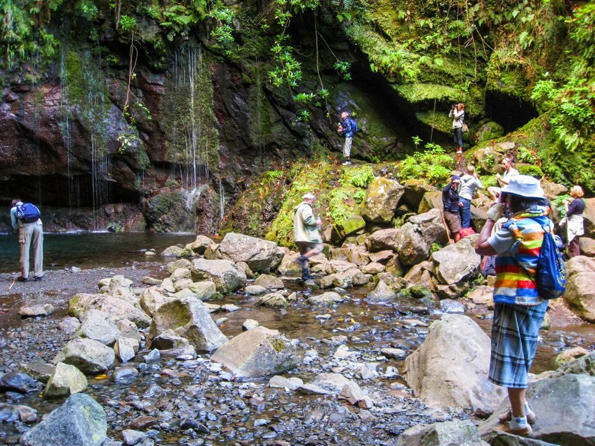 Madeira: Enjoy a Guided Levada Walk in the Rabaçal Valley - Levada das 25 Fontes: the 25 springs, the cliff lagoon, and the photo problem