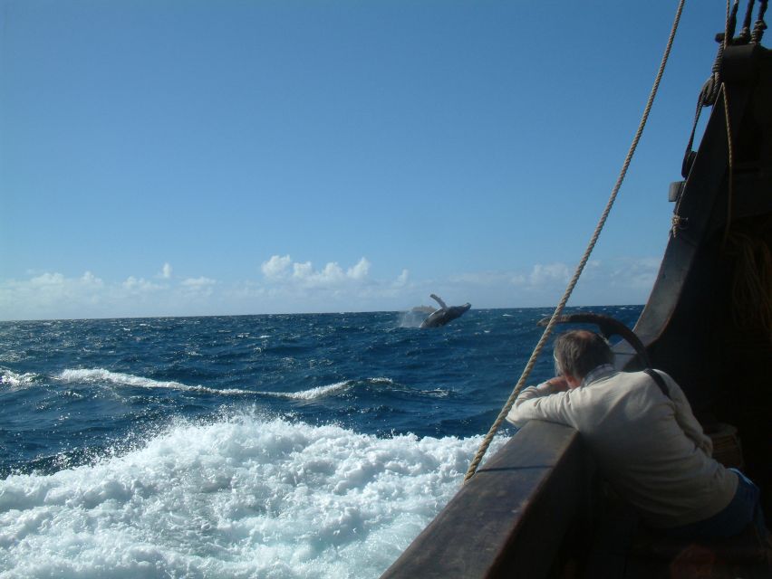Madeira: Flag Ship Tour aboard Santa Maria de Colombo - Should You Book the Santa Maria de Colombo Cruise?