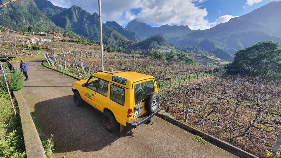 Madeira: Full-Day Jeep Tour with Guide and Pickup - Fanal Forest: A Calm Break Between the Big Moments