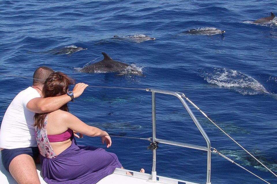 Madeira: Funchal Sunset Tour by Catamaran - Where to Meet in Funchal (and How Not to Miss the Catamaran)