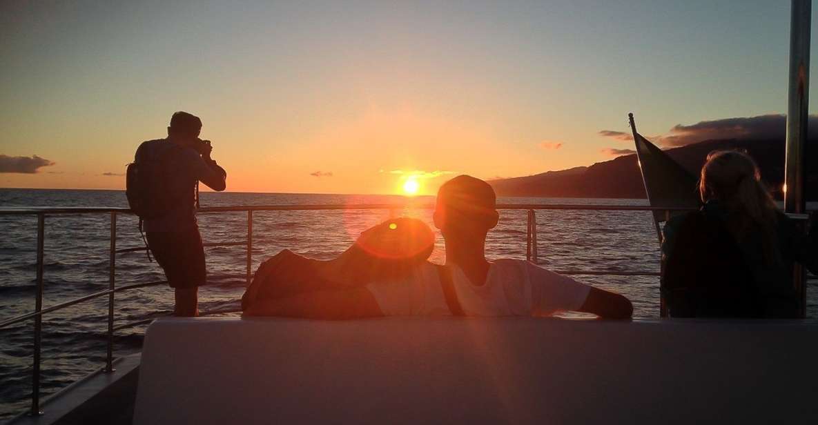 Madeira: Funchal Sunset Tour by Catamaran - Dolphin and Whale Watching: What You’re Paying For (and What You Should Expect)