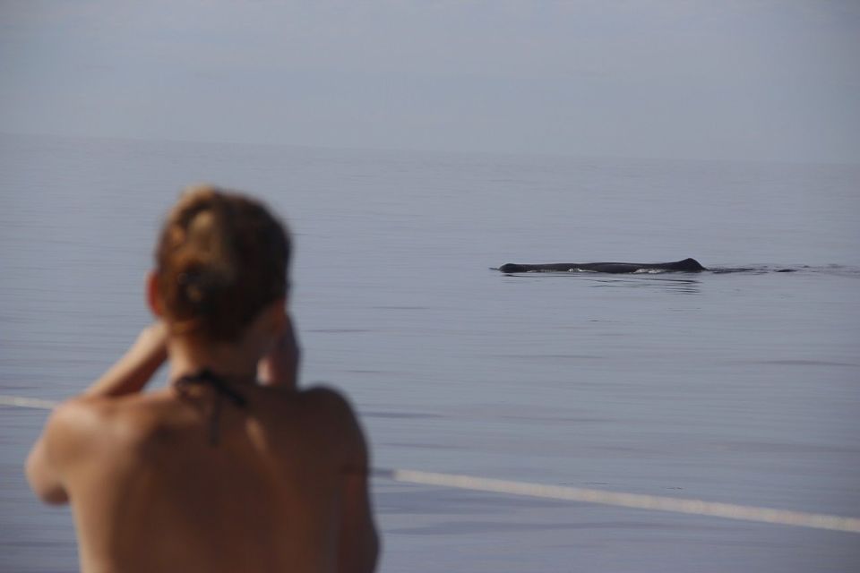 Madeira: Funchal Sunset Tour by Catamaran - What to Bring (and What to Leave Behind)