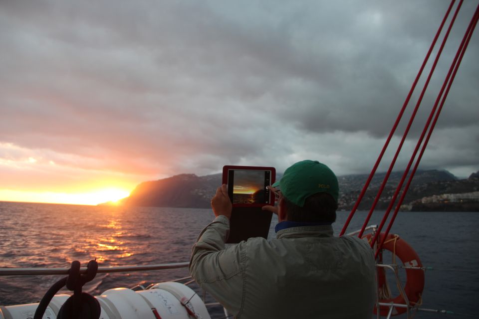 Madeira: Funchal Sunset Tour by Catamaran - Best Timing in Madeira: When This Sunset Cruise Works Most