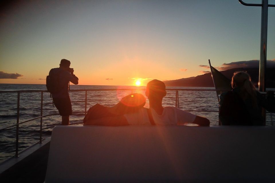 Madeira: Funchal Sunset Tour by Catamaran - The South Coast Cruise: How the Sunset Program Actually Works