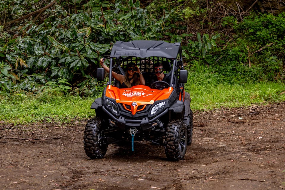 Madeira: Off-Road Buggy Adventure Through Laurissilva Forest - What to Bring (So You Don’t Regret It on Day One)