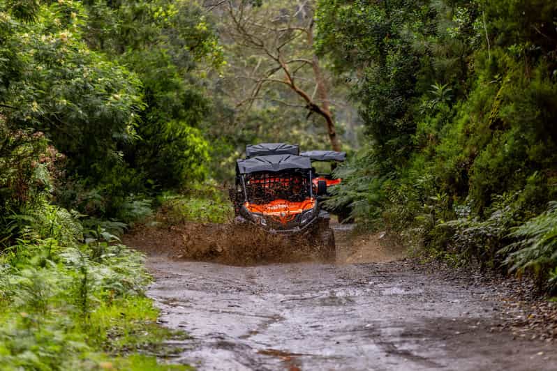 Madeira: Off-Road Buggy Adventure Through Laurissilva Forest - Before You Ride: Safety Gear, Briefing, and a Quick Reality Check