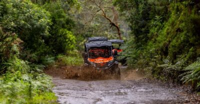 Madeira: Off-Road Buggy Adventure Through Laurissilva Forest - The Laurissilva Forest Route: Why It’s More Than a Drive