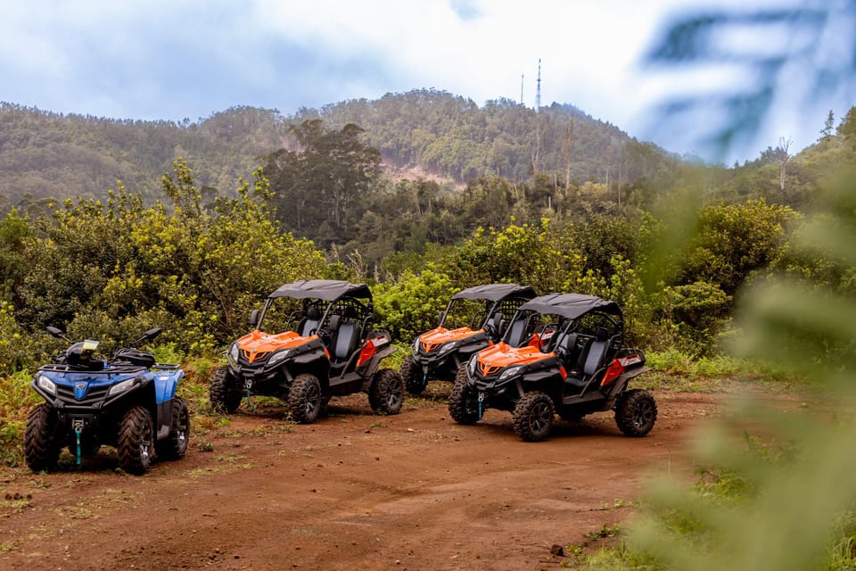 Madeira: Off-Road Buggy Adventure Through Laurissilva Forest - Stop Two: Boca do Risco Viewpoints Over Madeira’s North Coast