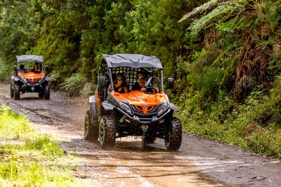 Madeira: Off-Road Buggy Adventure Through Laurissilva Forest - The Real Value: What You Get for $147 (Per Group Up to 2)