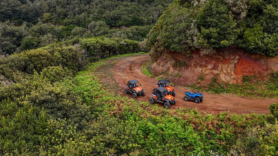 Madeira: Off-Road Buggy Adventure Through Laurissilva Forest - Timing and Group Size: Why the 2.5 Hours Works