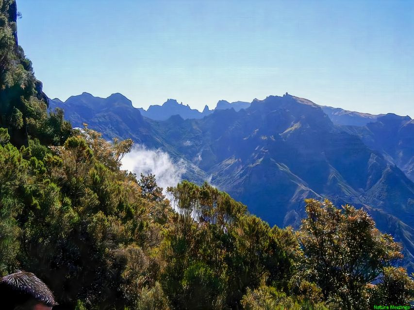 Madeira: Pico Arieiro to Pico Ruivo Hike - Weather, route closures, and the guide’s safety call