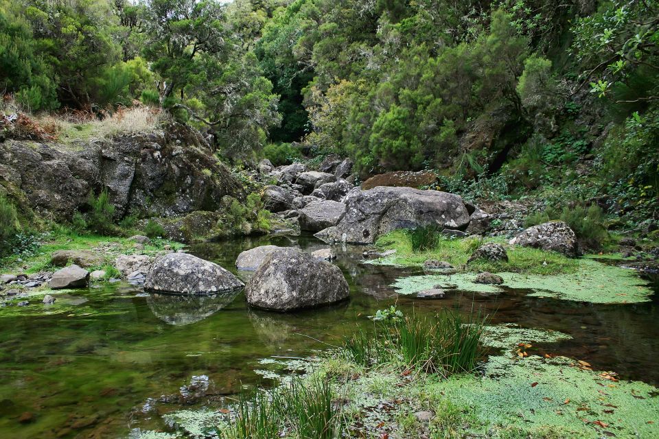 Madeira Walks - Rabaçal and the 25 Fountains - Price and value: is $50 worth it?
