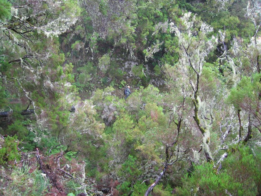 Madeira Walks - Rabaçal and the 25 Fountains - The walking challenges: steps, wet ground, and that tunnel section