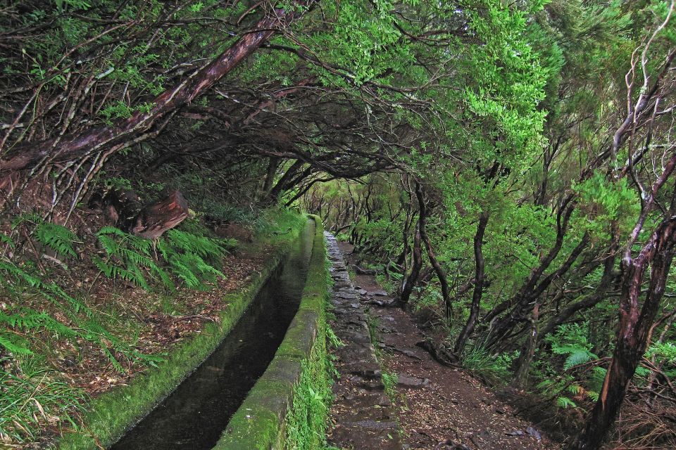 Madeira Walks - Rabaçal and the 25 Fountains - Water moments at the 25 Fountains: what you’re actually seeing