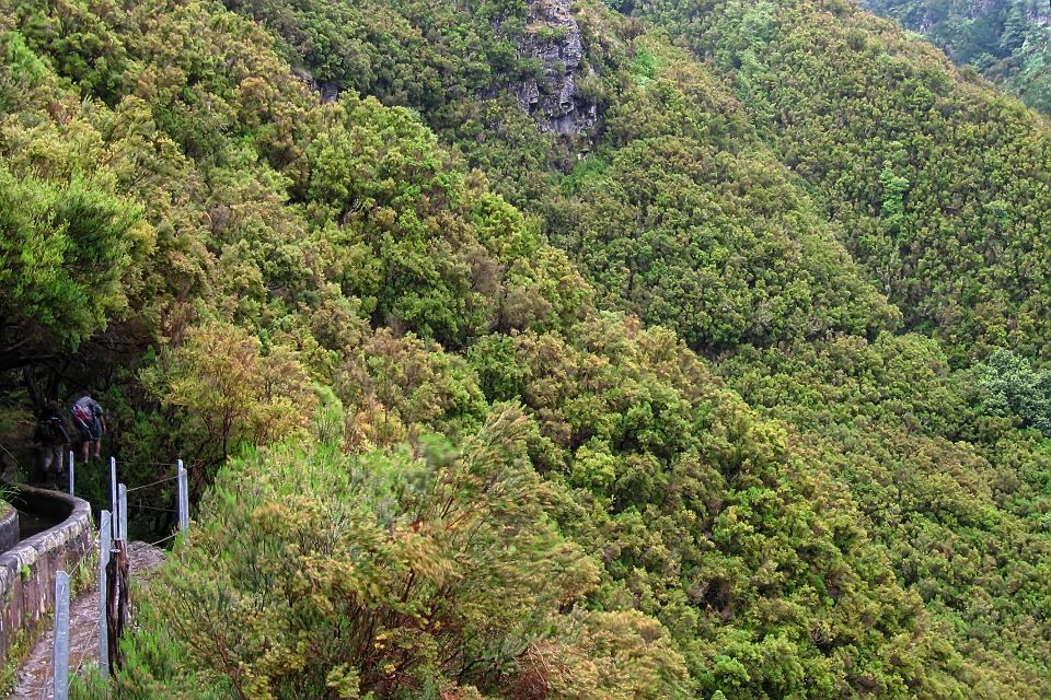 Madeira Walks - Rabaçal and the 25 Fountains - Guide quality is the real multiplier on this tour