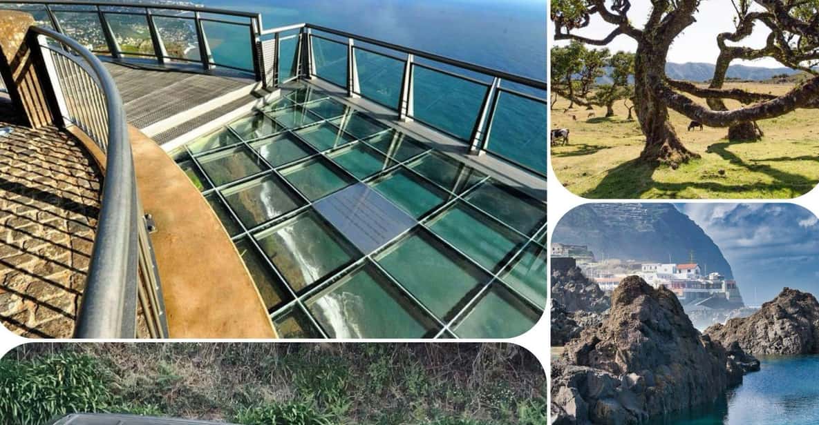 Madeira: West Tour With Guide Fanal Forest SykWalkExperience - Pickup, Drop-Off, and How the Day Is Set Up