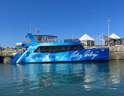 Peniche: Berlenga Island and Cave Tour - Getting there from Peniche: catamaran vs semi-rigid boat (and what the ride is like)