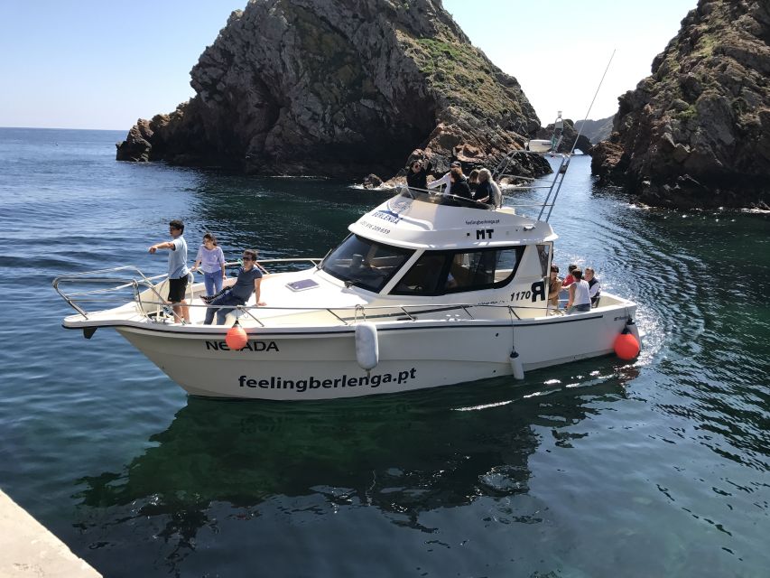 Peniche: Berlenga Island and Cave Tour - Cave tour by glass-bottom boat: Elephant, Dream cave, and Furado Grande
