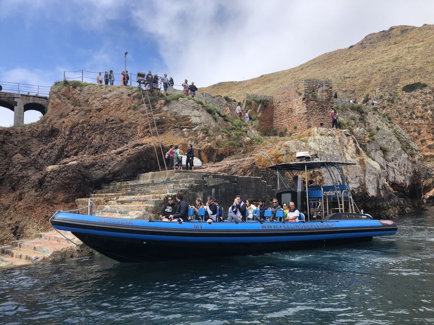 Peniche: Berlenga Island and Cave Tour - Price and value: what $41 covers, and what you’ll add on the island