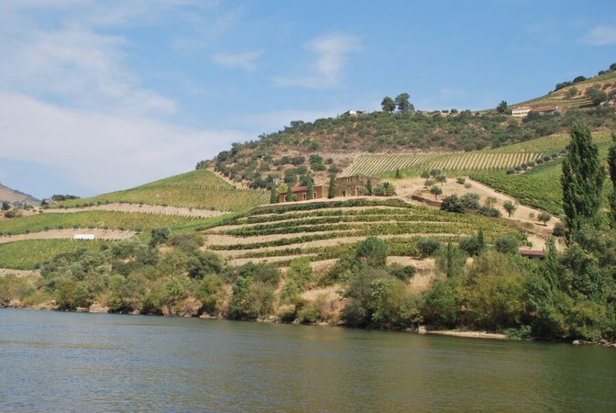Pinhão: 2-Hour Rabelo Boat Tour with Audio Guide - Why the Pinhão to Tua route feels like the sweet spot