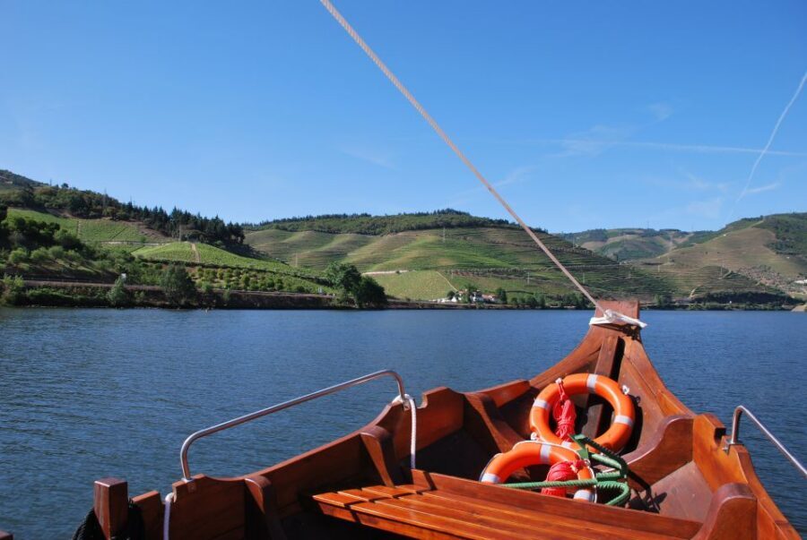 Pinhão: 2-Hour Rabelo Boat Tour with Audio Guide - The Magnifico Douro audio app: great when it works, annoying when it doesn’t
