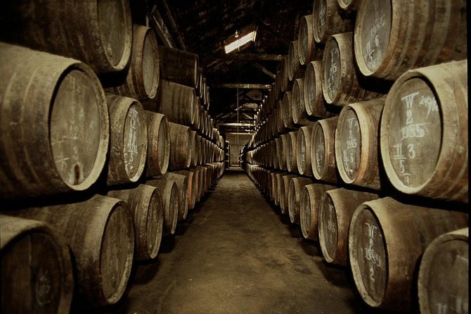 Port Wine Lodges Tour Including 7 Port Wine Tastings (English) - Porto to Gaia on foot: what the route feels like