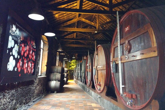 Port Wine Lodges Tour Including 7 Port Wine Tastings (English) - Reserve White and Reserve Tawny, plus young Ruby: learning the Port families